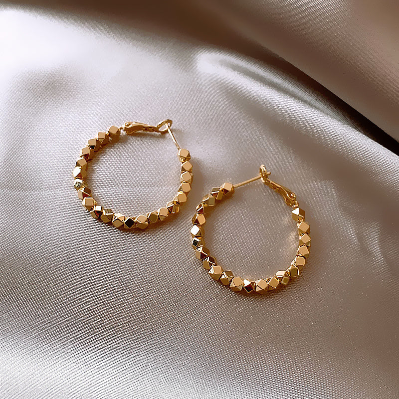 Trendy Niche Hoop Earrings