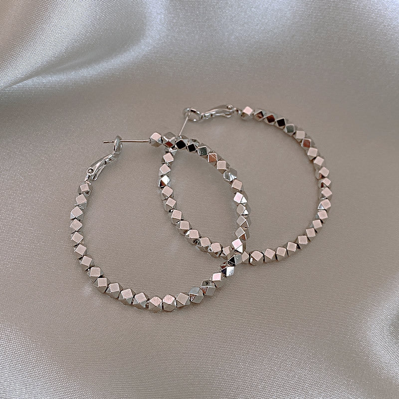 Trendy Niche Hoop Earrings