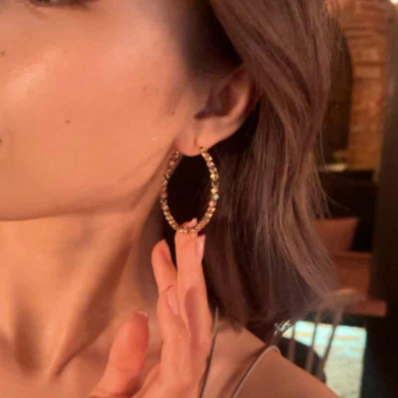 Trendy Niche Hoop Earrings